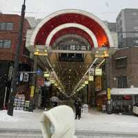 Japan-Hokkaido Travel 