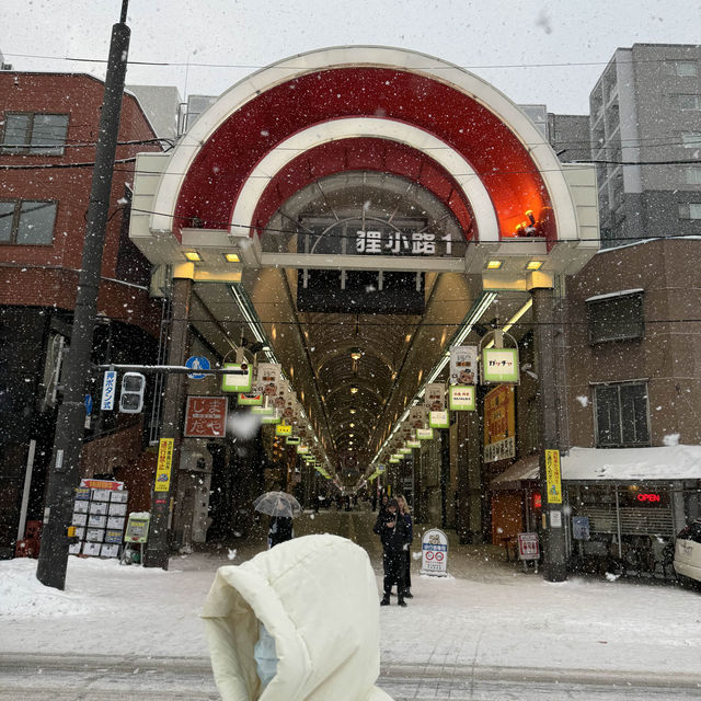 Japan-Hokkaido Travel 