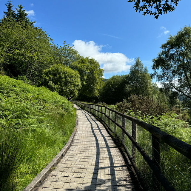 Breathtaking beauty of Irish nature 