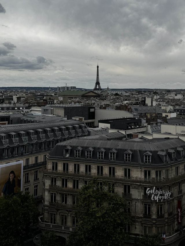 2024여름! 올림픽 열기 가득한 프랑스 파리 여행🇫🇷