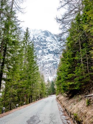 Hiking in Kranjska Gora...Krnica livada