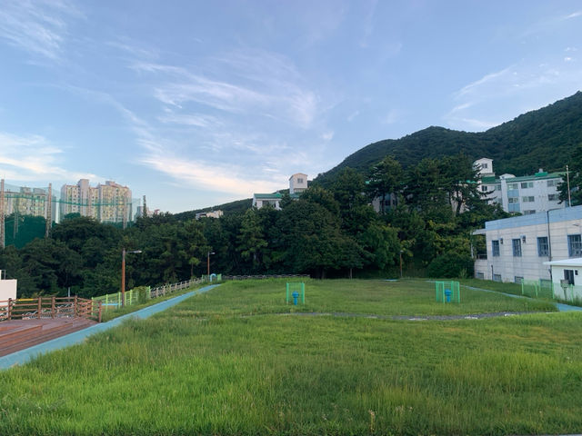 "부산 청학배수지에서 만나는 절경: 도시와 바다의 완벽한 조화"
