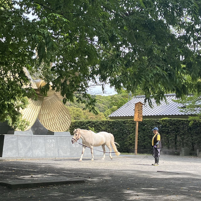 【香川】半日でも楽しめる！こんぴらさんで運動不足を解消