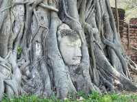 Wat Mahathat Temple