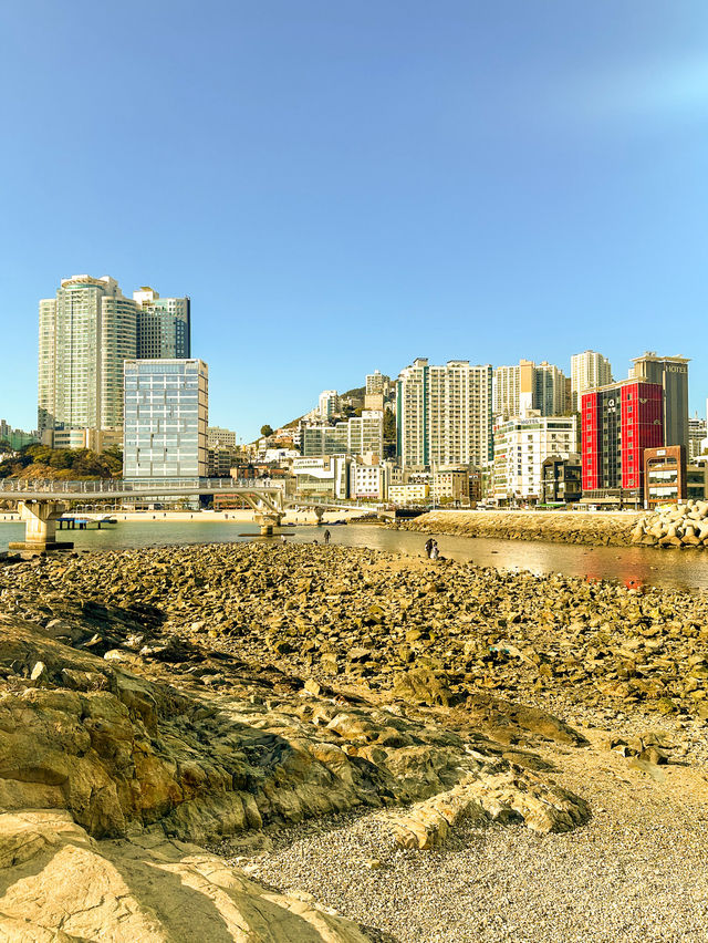 A Tranquil Escape in Busan 💙