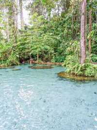 ป่าต้นน้ำบ้านน้ำราด ความสวยงามแบบ Unseen 🌳💦