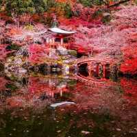 most recommended temple in kyoto