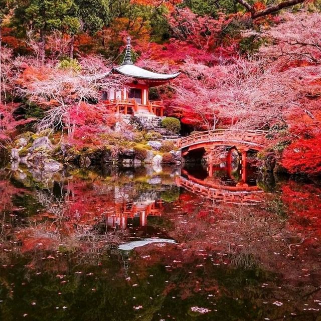 most recommended temple in kyoto