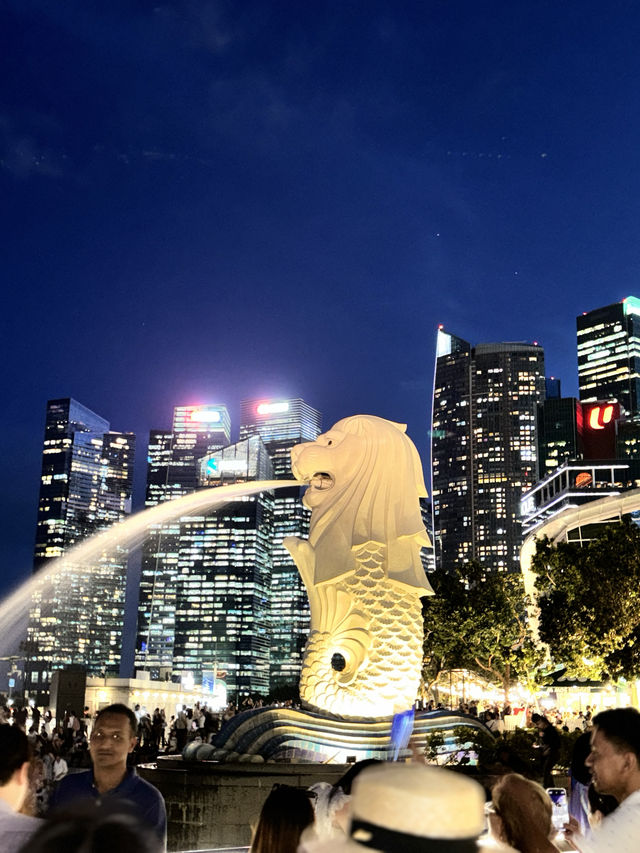 🇸🇬 TOP MUST-SEE IN SG