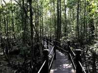 Kukup Island Johor National Park