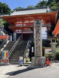 【京阪神五至七日遊】貓🐱風列車、合掌村、清水寺、心齋橋購物，穿和服遊京都