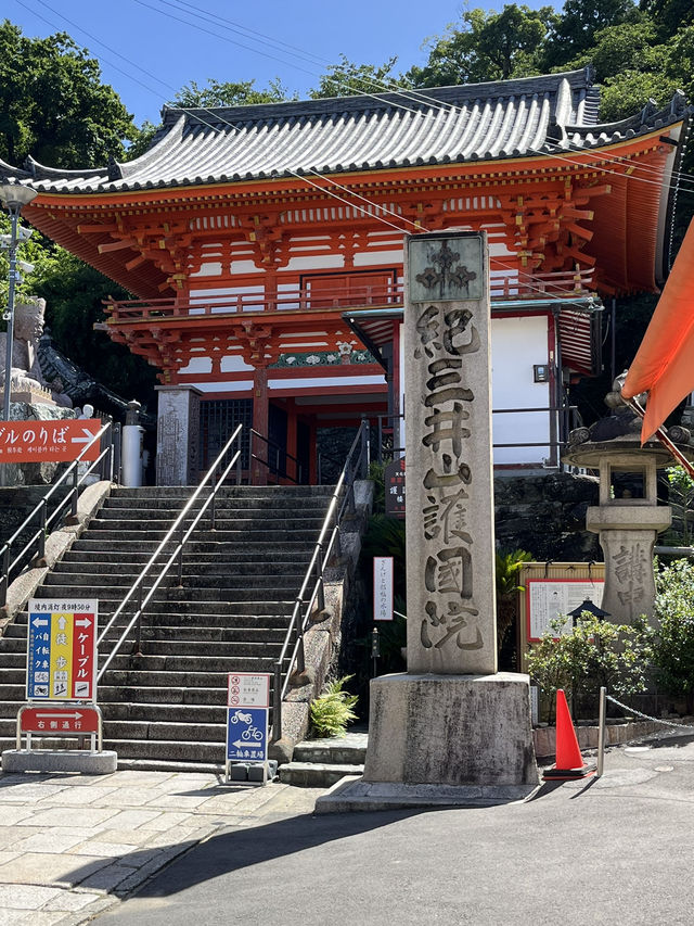 【京阪神五至七日遊】貓🐱風列車、合掌村、清水寺、心齋橋購物，穿和服遊京都