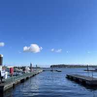 Cardiff Charm: Where History and Modernity Meet