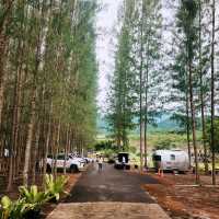 Phupha Coffee Camp