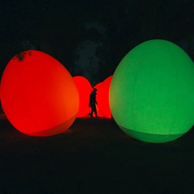ไปดู Digiata Art สุดเท่ที่ teamLab Osaka กัน