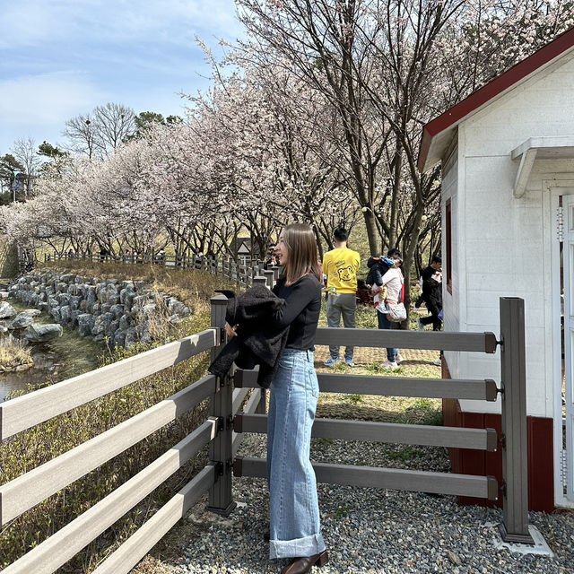 예쁜 꽃과 호수가 인상깊었던 이천 설봉공원🏞️