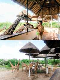 แจกแพลนเที่ยวซาฟารีเวิลด์ 1 วัน 🦁🦒🦜