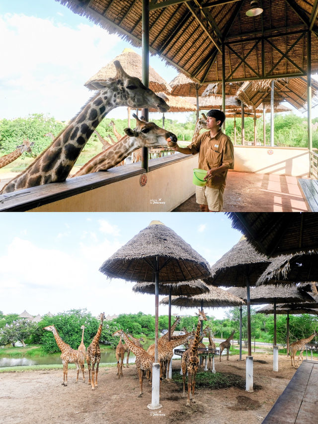 แจกแพลนเที่ยวซาฟารีเวิลด์ 1 วัน 🦁🦒🦜