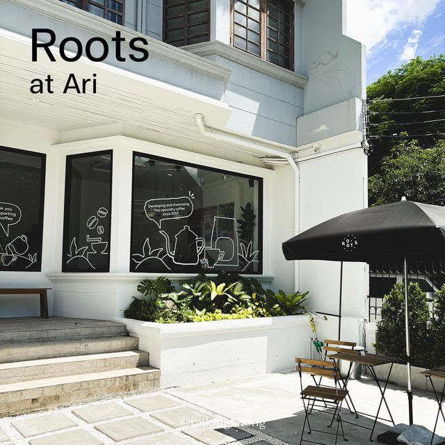 Roots at Ari