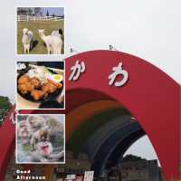「平川動物公園」親近可愛動物，愉快親子時光！