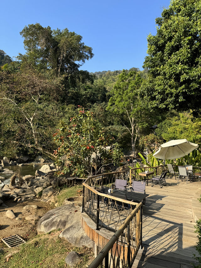 ร้านอร่อย กลางป่า Staywild & Cafe 🕊️