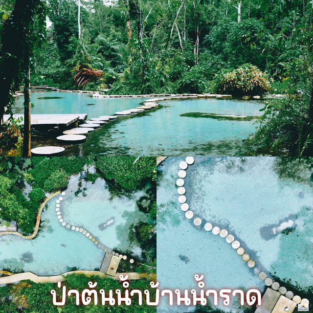 ป่าต้นน้ำบ้านน้ำราด