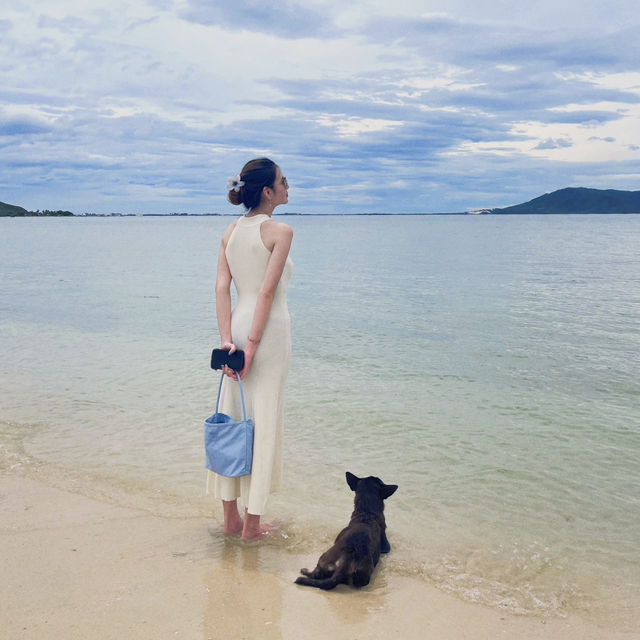 Diep Son island is a hidden gem 💎✨