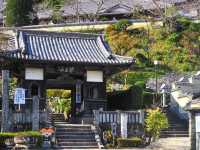 藥王寺櫻花