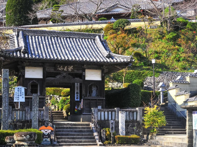 藥王寺櫻花
