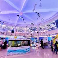 🇲🇾 Explore a World of Fish Wonders at Port Dickson