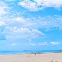 หาดไมอามี่ภาคใต้ " ทุ่งวัวแล่น " ชุมพร