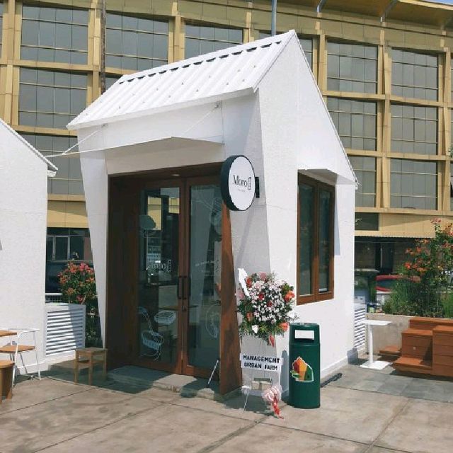 MORO HAS OPENED A NEW BRANCH IN PIK