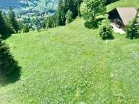 พาขึ้นยอดเขา🏔️ Grindelwald First 
