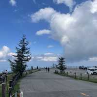 【美ヶ原高原】一生に一度は行きたい天国のようなスポット☁️