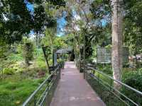 Bornean Sun Bear Conservation Centre (BSBCC)