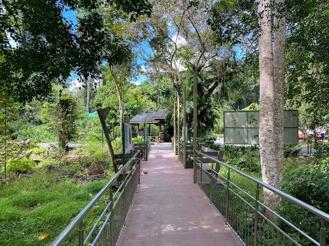 Bornean Sun Bear Conservation Centre (BSBCC)