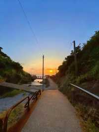 【神奈川】ねこ島🐈絶景夕陽スポットでお散歩