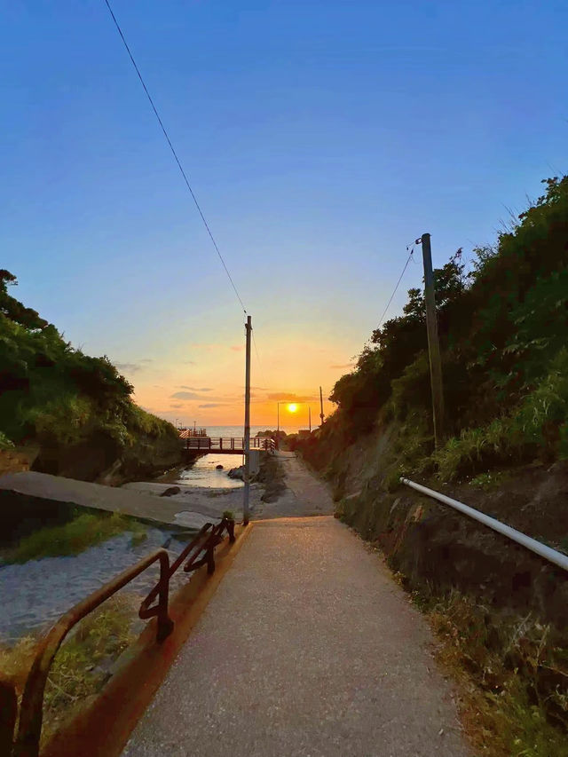【神奈川】ねこ島🐈絶景夕陽スポットでお散歩