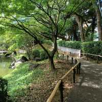 横浜観光おすすめスポット✨横浜公園『彼我公園』