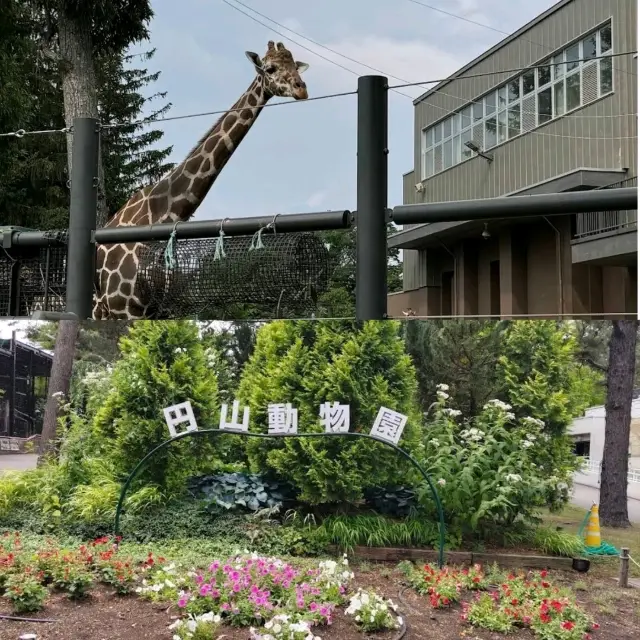札幌動物園📸📸📸📸