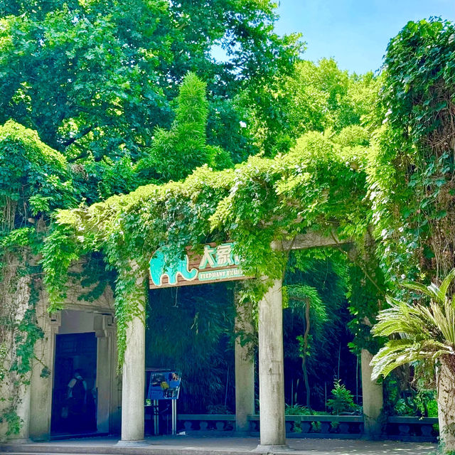🌎廣州動物園～可愛動物世界🌎