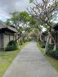 Gardens, Pool and fruit bowls