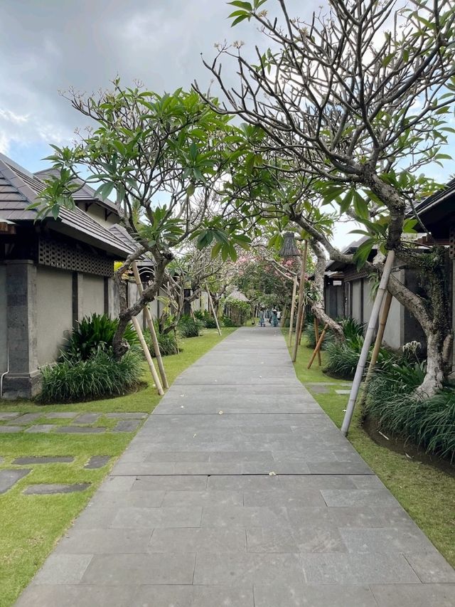Gardens, Pool and fruit bowls