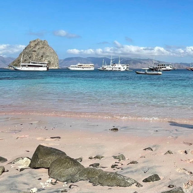 Blushing Shores: Falling in Love with Komodo's Pink Beach