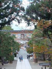 Autumn in Takayama 🍁🍂
