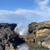 紐西蘭Timaru Dashing Rock看海看海豹