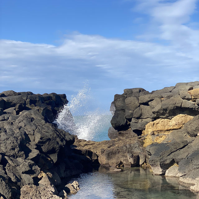 紐西蘭Timaru Dashing Rock看海看海豹