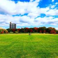 【京都】広大な芝生公園に泊まる 京都お薦めホテル 梅小路Potel