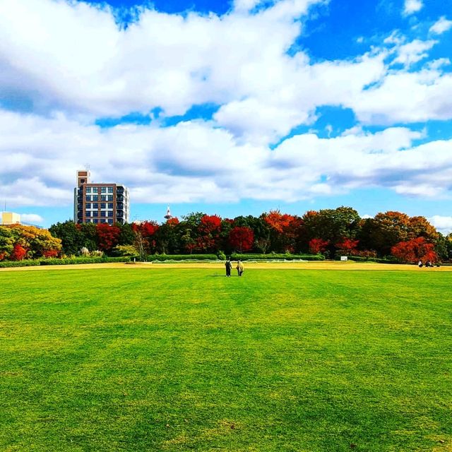 【京都】広大な芝生公園に泊まる 京都お薦めホテル 梅小路Potel