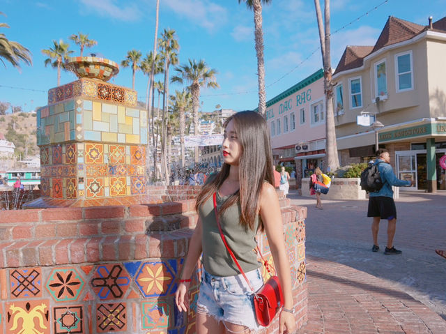 힐링하기 좋은 LA근교 여행 : 산타카탈리나섬